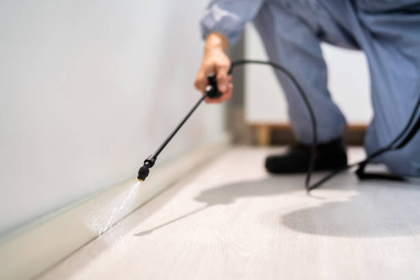 Licensed Pest Control service in Holly Springs, GA - Nex Pest Control