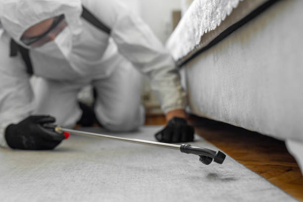Professional Pest Control technician working in Holly Springs, GA