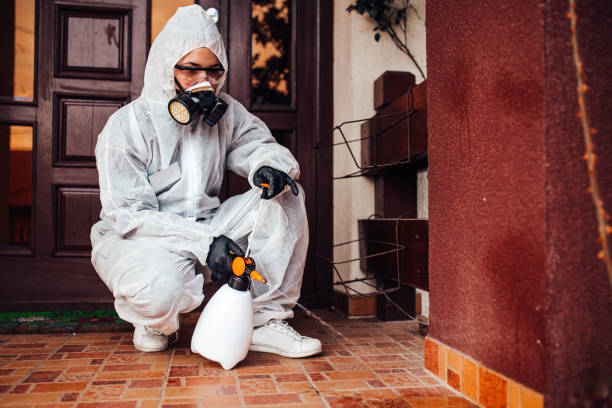 Reliable Bed Bug Control contractor in Holly Springs, GA by Nex Pest Control