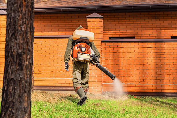 Trusted Emergency Pest Control service in Holly Springs, GA - Nex Pest Control